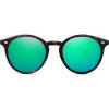 Dark Tortoise/Bluish Green Mirrored