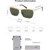 imageSOJOS Trendy Rectangle Cat Eye Semirimless Sunglasses Womens Retro Fashion Vintage Shades UV400 Protection SJ1253GoldGreen
