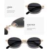 imageSOJOS Retro Trendy Oval Polarized Sunglasses Womens Mens 80s 90s Chic Small Round Metal Frame Sunnies SJ1260GoldGrey