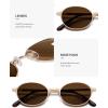 imageSOJOS Retro Trendy Oval Polarized Sunglasses Womens Mens 80s 90s Chic Small Round Metal Frame Sunnies SJ1260Shiny GoldBrown