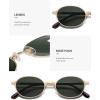 imageSOJOS Retro Trendy Oval Polarized Sunglasses Womens Mens 80s 90s Chic Small Round Metal Frame Sunnies SJ1260Shiny GoldGreen