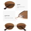 imageSOJOS Trendy Oval Polarized Sunglasses for Women Men Retro Fashion Round Shades SJ1255GoldBrown