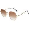 imageSOJOS Retro Hexagon Square Polarized Sunglasses for Women Men Vintage Hexagonal Polygon Shades SJ1101GoldBrown Grading