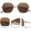 imageSOJOS Retro Hexagon Square Polarized Sunglasses for Women Men Vintage Hexagonal Polygon Shades SJ1101SilverBrown