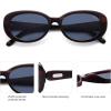 imageSOJOS Retro Oval Polarized Sunglasses for Women Men Vintage 90s Style Designer Inspired Sunnies Sun Glasses SJ2369Dark Brown PatternGreyishblue