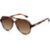 Amber Brown Tortoise/Brown