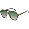 Tortoise/Gradient Green