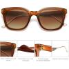 imageSOJOS Classic Square Polarized Sunglasses Womens Mens Retro Trendy UV400 Sunnies SJ2050Dark BrownBrown