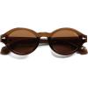 imageSOJOS Retro Oval Polarized Sunglasses for Women Men Chic Trendy 90s Sunnies Shades UV protection Sun GlassesBrown Frame Brown Lens