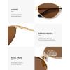 imageSOJOS Retro Oval Polarized Sunglasses for Women Men Trendy Chic Cat Eye 90s Y2K Sunnies SJ1266GoldBrown