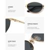 imageSOJOS Retro Oval Polarized Sunglasses for Women Men Trendy Chic Cat Eye 90s Y2K Sunnies SJ1266GoldGrey