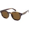 imageSOJOS Retro Vintage Polarized Sunglasses for Women Men Classic Square Panto Shades SJ2626Dark GreenCold Brown