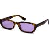 Brown Tortoise / Purple