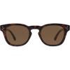 Dark Tortoise/Brown
