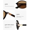 image:imageSOJOS Polarized Retro Oval Sunglasses for Women Chic Vintage 90s Y2K Sunnies UV400 Trendy Designer Sun Glasses SJ2703BlackLight Brown