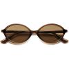 image:imageSOJOS Polarized Retro Oval Sunglasses for Women Chic Vintage 90s Y2K Sunnies UV400 Trendy Designer Sun Glasses SJ2703BrownBrown