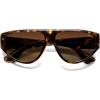 Brown Tortoise/Gradient Brown