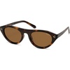 Brown Tortoise/Brown