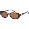 Brown Tortoise/Brown