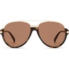 Tortoise/Brown