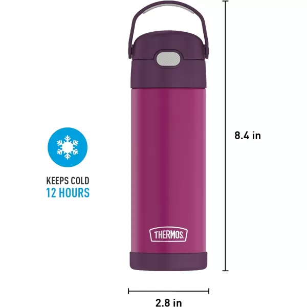 THERMOS FUNTAINER 16 Ounce Stainless Steel Vacuum Insulated Bottle with Wide Spout Lid Looney TunesRed Violet Bottle