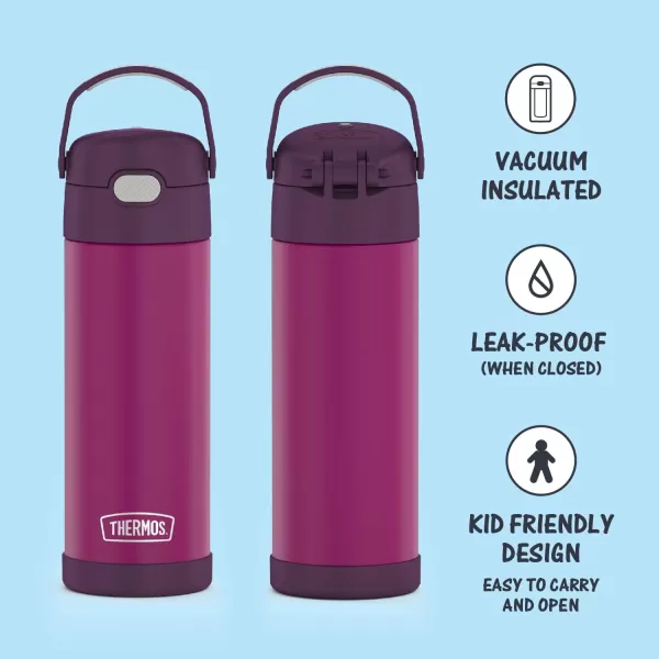 THERMOS FUNTAINER 16 Ounce Stainless Steel Vacuum Insulated Bottle with Wide Spout Lid Looney TunesRed Violet Bottle