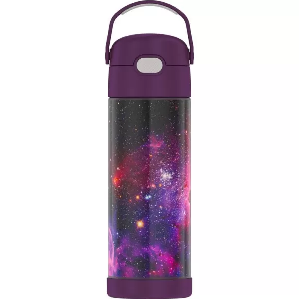 THERMOS FUNTAINER 16 Ounce Stainless Steel Vacuum Insulated Bottle with Wide Spout Lid RosewooodGalaxy Plum