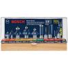 imageBOSCH RBS010 10Piece 12 in and 14 in Shank CarbideTipped AllPurpose Professional Router Bits Assorted Set with Case for Applications in Straight Trimming Decorative Edging Dovetail JoineryAssorted