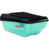 imageBOSCH ROS10 5 Inch 120 Volt 5 Inch SingleSpeed Palm Random Orbit Sander Polisher