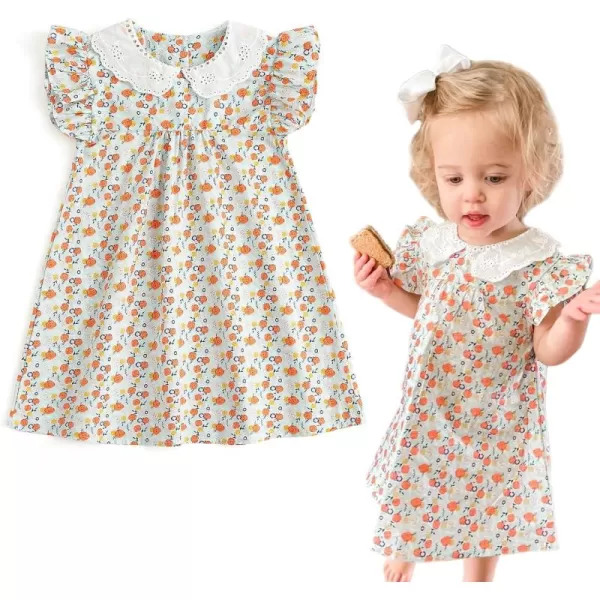 Simplee kids Baby Girls Casual Dress Toddler Smocking Dress Floral Print Sundress for Spring Summer 1-6 Years