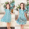imageSimplee kids Baby Girls Casual Dress Toddler Smocking Dress Floral Print Sundress for Spring Summer 16 YearsBcfloral Blue
