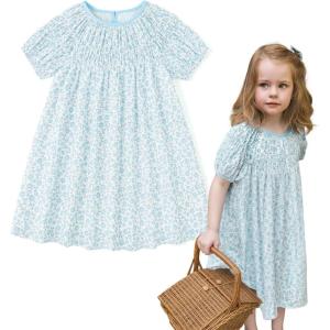 imageSimplee kids Baby Girls Casual Dress Toddler Smocking Dress Floral Print Sundress for Spring Summer 16 YearsBbblue