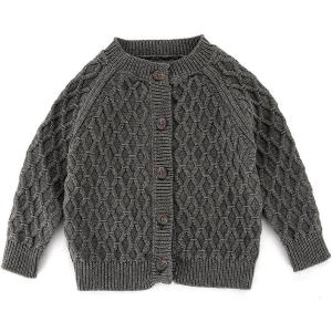 imageSimplee kids Baby Cardigan Cable Knit Toddler Cardigan Long Sleeve Fall Winter Open Front Knit SweatersB  B Gray