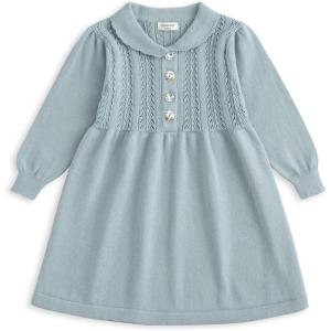 imageSimplee kids Baby Little Girls Long Sleeve Sweater Dress Knit Warm Sweater Outfit Dress for Toddler Girls 6M5TBgray Blue