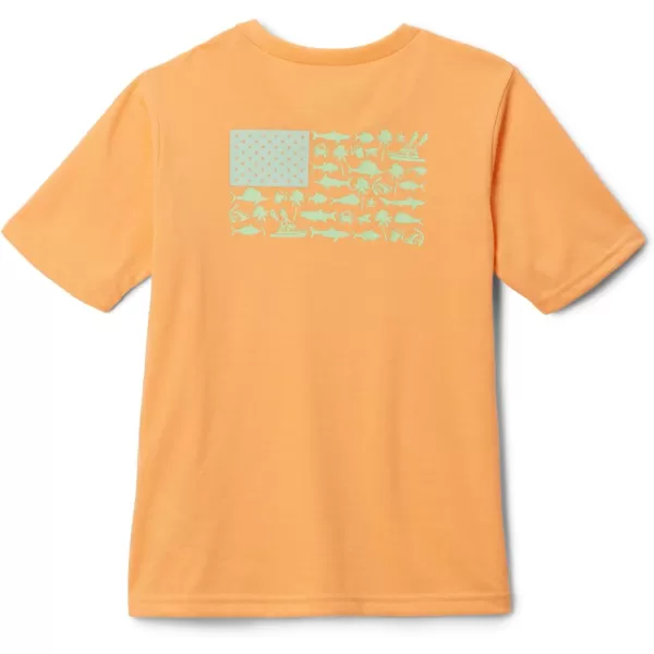imageColumbia Boys PFG Short Sleeve Graphic TeeBright Nectar B Fish Flag Graphic