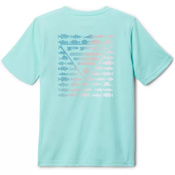 imageColumbia Boys PFG Short Sleeve Graphic TeeGulf StreamPfg Elements Graphic
