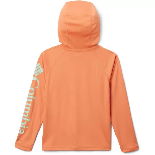 imageColumbia Boys PFG Terminal Tackle HoodieDusty OrangeNew Mint Logo