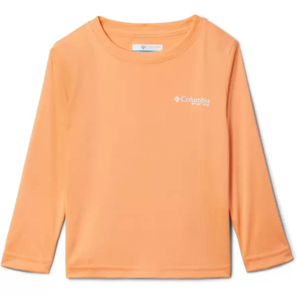 imageColumbia Boys Terminal Tackle PFG Triangle Logo Long SleeveBright NectarWhite
