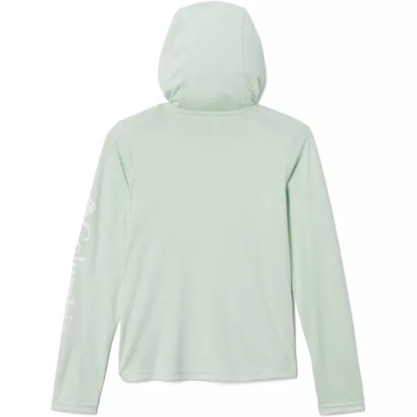 imageColumbia Kids Fork Stream HoodieIce Green