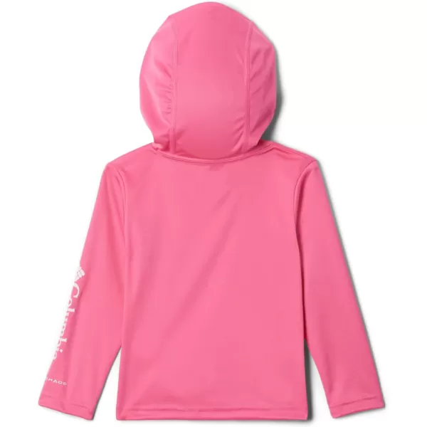 imageColumbia Kids Fork Stream HoodieWild Geranium