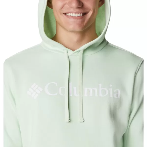 imageColumbia Mens Trek HoodieIce GreenCsc Branded Logo