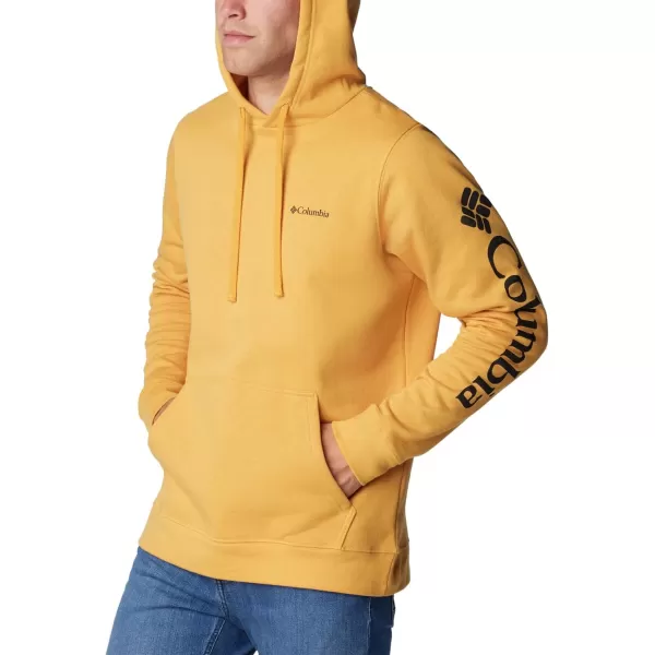 imageColumbia Mens Trek HoodieRaw Honey  Csc Sleeve Logo