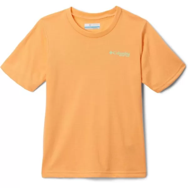 imageColumbia Boys PFG Short Sleeve Graphic TeeBright Nectar B Fish Flag Graphic