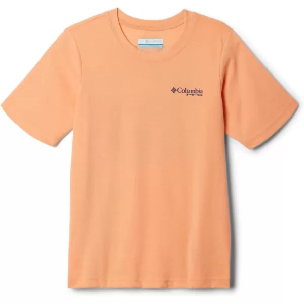 imageColumbia Boys PFG Short Sleeve Graphic TeeBright NectarTarpon Rise