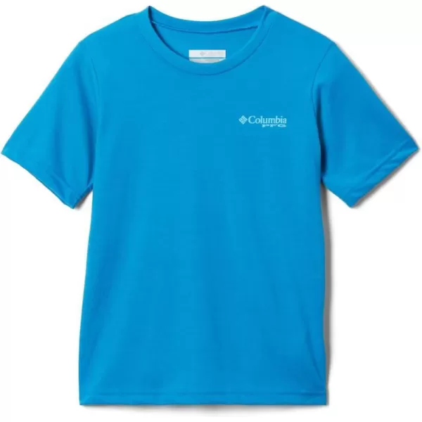 Pool  Pfg Elements Graphic