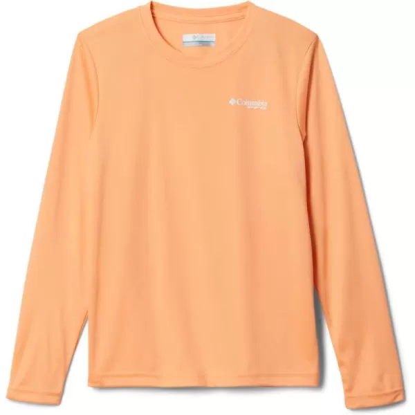 imageColumbia Boys Terminal Tackle PFG Triangle Logo Long SleeveBright NectarWhite