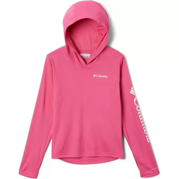 imageColumbia Kids Fork Stream HoodieWild Geranium