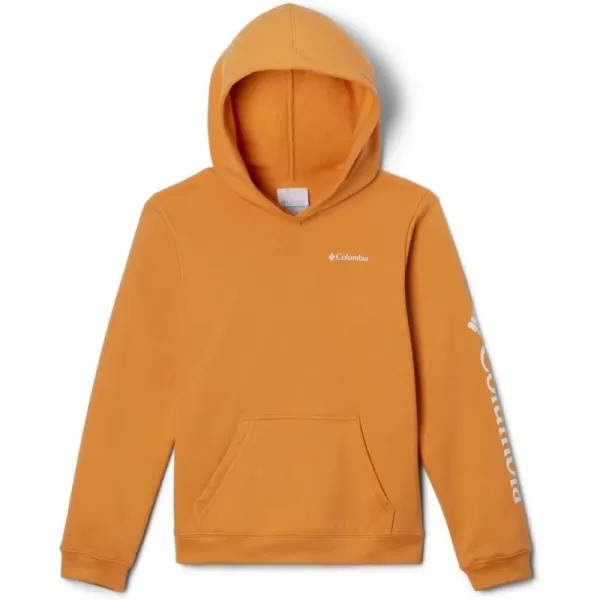imageColumbia Kids Trek HoodieSunstone