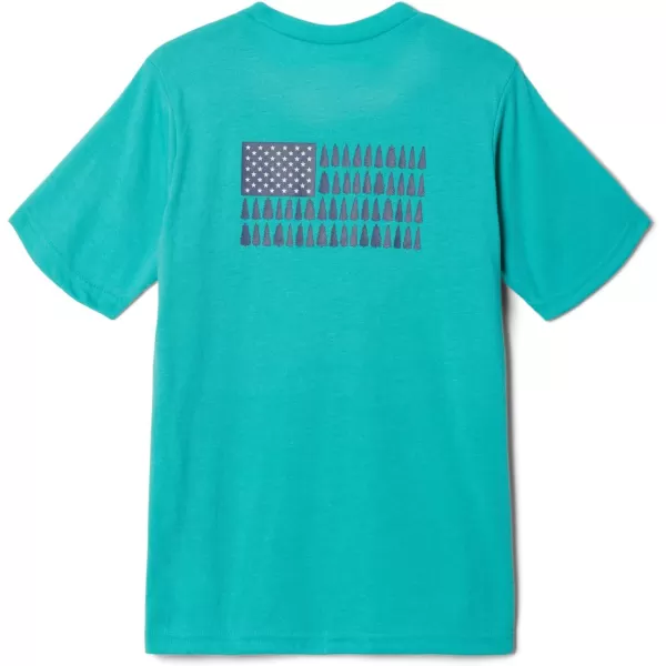 imageColumbia Boys La Poudre Pass Short Sleeve TeeBright AquaPatriotic Pines Graphic