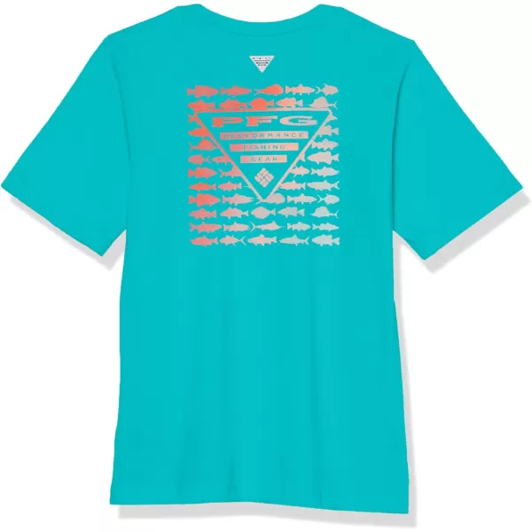 imageColumbia Boys PFG Short Sleeve Graphic TeeOcean TealPfg Elements Graphic